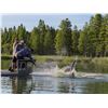 Image 6 : GODS COUNTRY: 3-Day Alligator Hunt for One Hunter / One NH in FL - Includes Trophy & Custom Boots