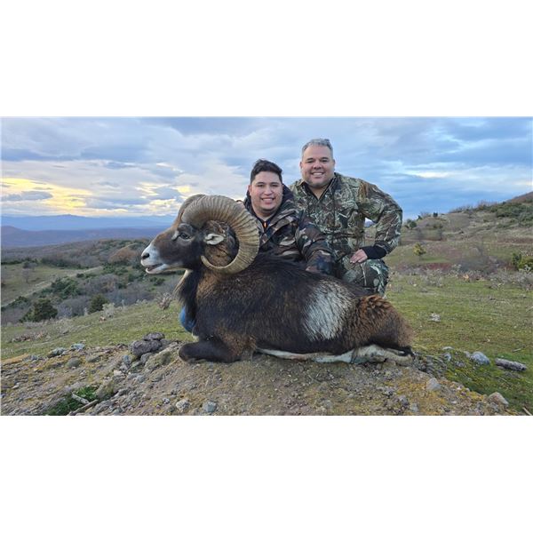 SAFARI INT'L: 5-Day Mouflon & Fox Hunt for One Hunter / One NH in Macedonia - Includes Trophy Fees