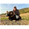 Image 2 : SAFARI INT'L: 5-Day Mouflon & Fox Hunt for One Hunter / One NH in Macedonia - Includes Trophy Fees