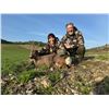 Image 3 : FERNANDO SAIZ: 4-Day/4-Night Roe Deer Hunt for One Hunter in Spain - Includes Trophy Fee