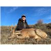 Image 4 : FERNANDO SAIZ: 4-Day/4-Night Roe Deer Hunt for One Hunter in Spain - Includes Trophy Fee
