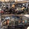 Image 1 : (IN ROOM ONLY) OLD WOLF TAXIDERMY: $5,000 Credit Towards In-Home Taxidermy Cleaning Services