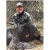 Image 6 : DRIFTWOOD VALLEY: 8-Day/8-Night Black Bear Hunt for One Hunter in B.C. - Includes Trophy Fee