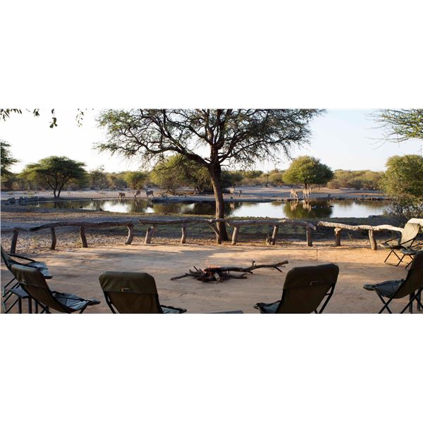 THOLO SAFARIS: 7-Day Plains Game Safari for One Hunter and One NH in Botswana - Includes Trophies