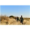 Image 2 : THOLO SAFARIS: 7-Day Plains Game Safari for One Hunter and One NH in Botswana - Includes Trophies