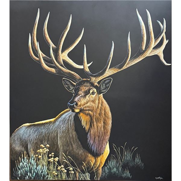 CYNTHIE FISHER: "Bull of Dreams" - Scratchboard Elk Artwork