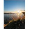 Image 4 : MISSOURI RIVER: 2-Day/3-Night Ring-Necked Pheasant Hunt for Four Hunters in South Dakota