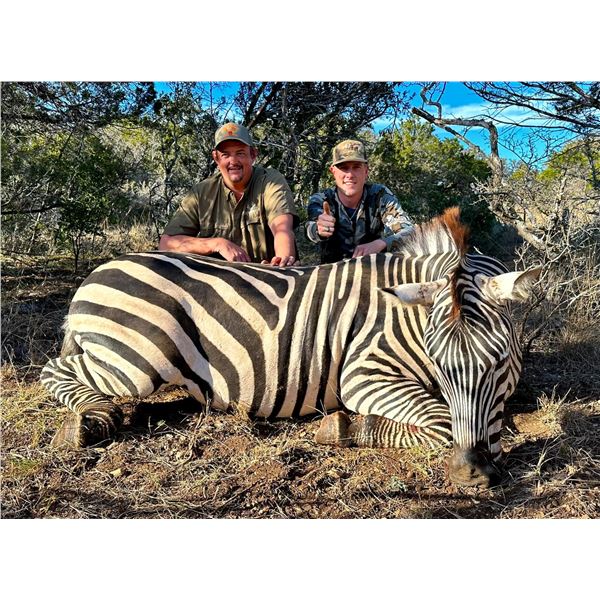 RECORDBUCK: 3-Day/2-Night Zebra Hunt for One Hunter and One NH in Texas - Includes Trophy Fee