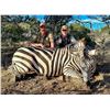 Image 1 : RECORDBUCK: 3-Day/2-Night Zebra Hunt for One Hunter and One NH in Texas - Includes Trophy Fee