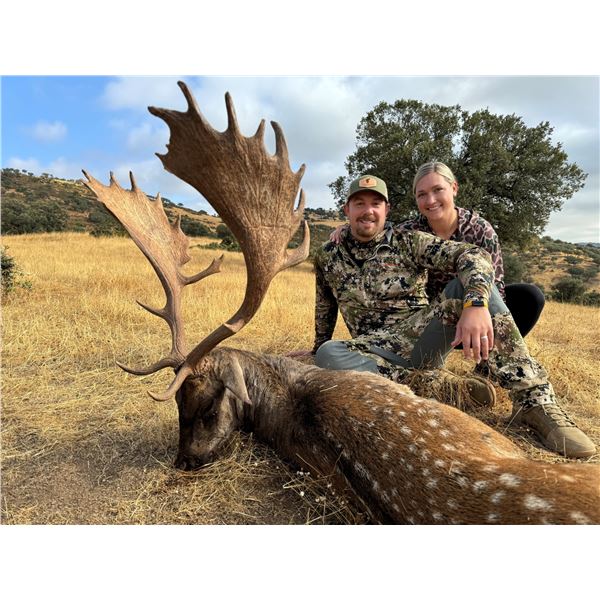 HEREDEROS: 5-Day Mouflon OR Fallow Hunt for One Hunter & One NH in Spain - Includes Trophy Fee