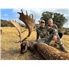 Image 1 : HEREDEROS: 5-Day Mouflon OR Fallow Hunt for One Hunter & One NH in Spain - Includes Trophy Fee