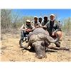 Image 3 : DZOMBO HUNTING: 5-Day/5-Night Cape Buffalo Hunt for One Hunter in Namibia - Includes Trophy Fee