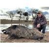 Image 2 : CATENA SAFARIS: 5-Day/5-Night Big Game Hunt for Four Hunters in Argentina - Includes Trophy Fees