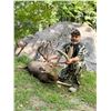 Image 2 : XFACTOR: 3-Day/3-Night Whitetail Hunt for One Hunter and One NH in Indiana - Includes Trophy Fee