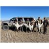Image 4 : COLD WATER OUTFITTERS: 3-Day/3-Night Waterfowl Hunt for Four Hunters in North Dakota