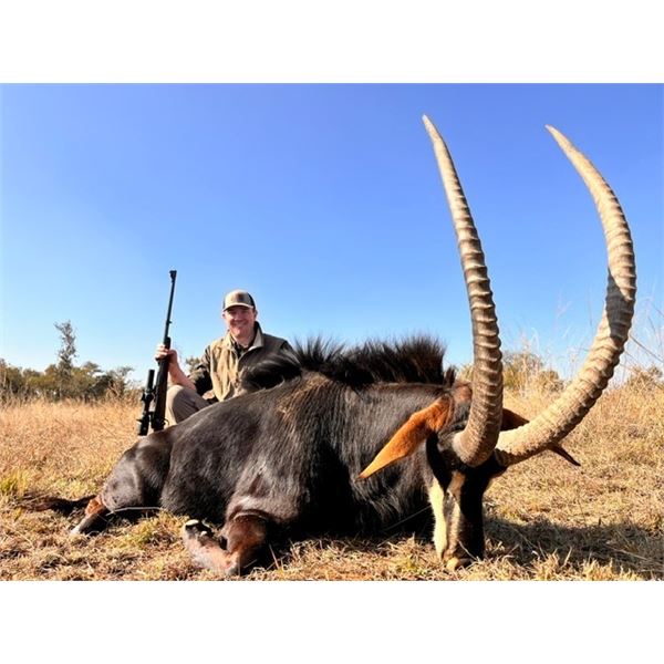THORMAHLEN: 10-Day Sable Hunt for One Hunter and One NH in South Africa - Includes Trophy Fee