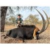 Image 2 : THORMAHLEN: 10-Day Sable Hunt for One Hunter and One NH in South Africa - Includes Trophy Fee