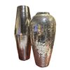 Image 1 : LL COMMITTEE: Large Decorative Pair of Vases