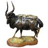 Image 1 : CYNTHIE FISHER: "Show Off - Nyala" - Bronze Nyala Artwork