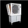 Image 1 : CAJUN KOOLING: CK4500-s Air Cooler