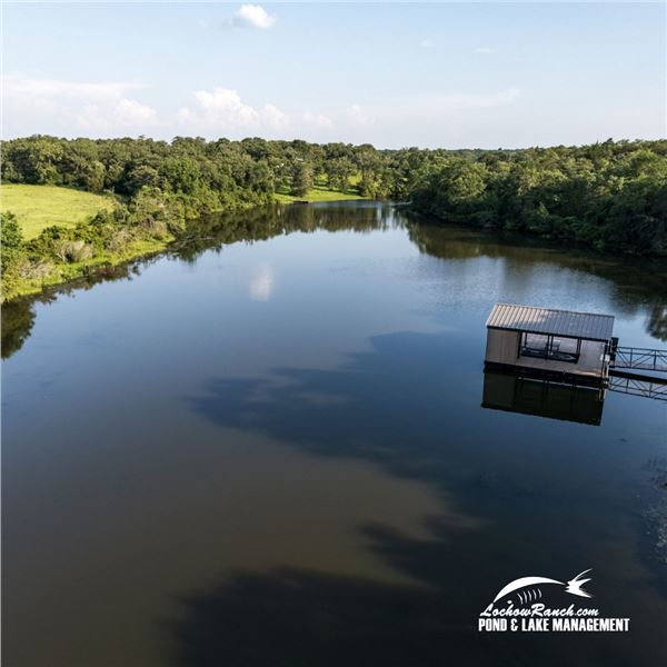 LOCHOW RANCH: Pond or Lake Electrofishing Survey