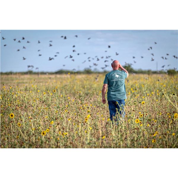 EKDAHL: 1-Day/1-Night Dove Hunt for Four Hunters in Texas