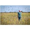 Image 1 : EKDAHL: 1-Day/1-Night Dove Hunt for Four Hunters in Texas