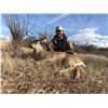 Image 1 : GURO OUTFITTERS: 5-Day Coues Hunt for One Hunter and One NH in Mexico - Includes Trophy Fee