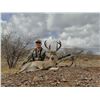 Image 2 : GURO OUTFITTERS: 5-Day Coues Hunt for One Hunter and One NH in Mexico - Includes Trophy Fee