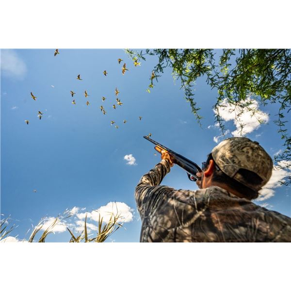 ARGENTINA'S BEST HUNTING: 4-Day/4-Night High-Volume Dove Hunt for Two Hunters in Argentina