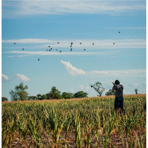 ARGENTINA BIG HUNTING: 3-Day High-Volume Dove Hunt for Three Hunters in Argentina