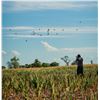 Image 1 : ARGENTINA BIG HUNTING: 3-Day High-Volume Dove Hunt for Three Hunters in Argentina