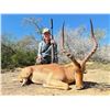 Image 1 : ROSEDALE: 7-Day/8-Night Plains Game Safari for One Hunter in South Africa - Includes Trophy Fees