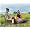 Image 2 : ROSEDALE: 7-Day/8-Night Plains Game Safari for One Hunter in South Africa - Includes Trophy Fees