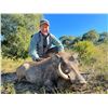 Image 3 : ROSEDALE: 7-Day/8-Night Plains Game Safari for One Hunter in South Africa - Includes Trophy Fees