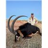 Image 1 : INSTINCT SAFARIS: 6-Day/7-Night Plains Game Safari for Four Hunters in South Africa - Includes Credi