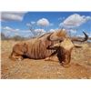 Image 1 : INTREPID: 7-Day/7-Night Golden Wildebeest Hunt for One Hunter in South Africa - Includes Trophy Fee