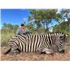 Image 1 : KWALATA: 7-Day/8-Night Plains Game Safari for Two Hunters in South Africa - Includes Trophy Fees