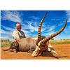 Image 1 : LIAM URRY: 8-Day/7-Night Plains Game Safari for Four Hunters in South Africa - Includes Trophy Credi