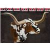Image 1 : VUKARI: Texas Longhorn Wall Decor Handcrafted from African Nguni Cowhide
