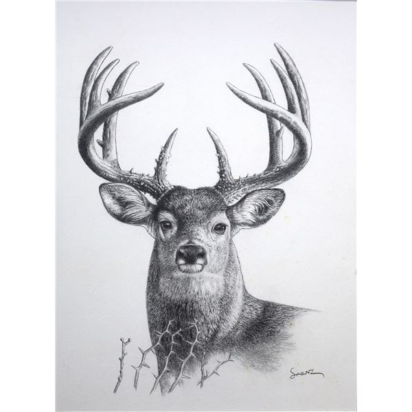 ELEAZAR SAENZ: "Mucho Alfa" - Original Pencil Drawing by Eleazar Saenz