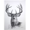 Image 1 : ELEAZAR SAENZ: "Mucho Alfa" - Original Pencil Drawing by Eleazar Saenz