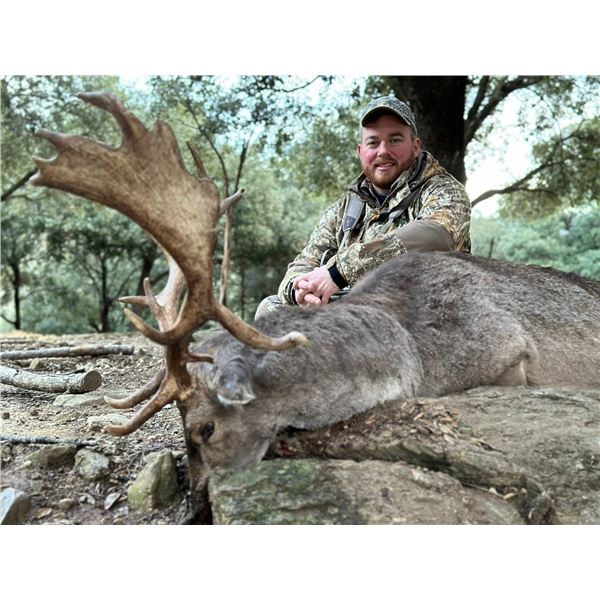 (NEW!) IBERIAN HUNTING:4-Day Big Game Hunt for Two Hunters & Two NHs in Spain - Includes Trophy Fees