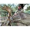 Image 1 : (NEW!) IBERIAN HUNTING:4-Day Big Game Hunt for Two Hunters & Two NHs in Spain - Includes Trophy Fees
