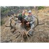 Image 3 : (NEW!) IBERIAN HUNTING:4-Day Big Game Hunt for Two Hunters & Two NHs in Spain - Includes Trophy Fees