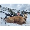 Image 4 : (NEW!) IBERIAN HUNTING:4-Day Big Game Hunt for Two Hunters & Two NHs in Spain - Includes Trophy Fees