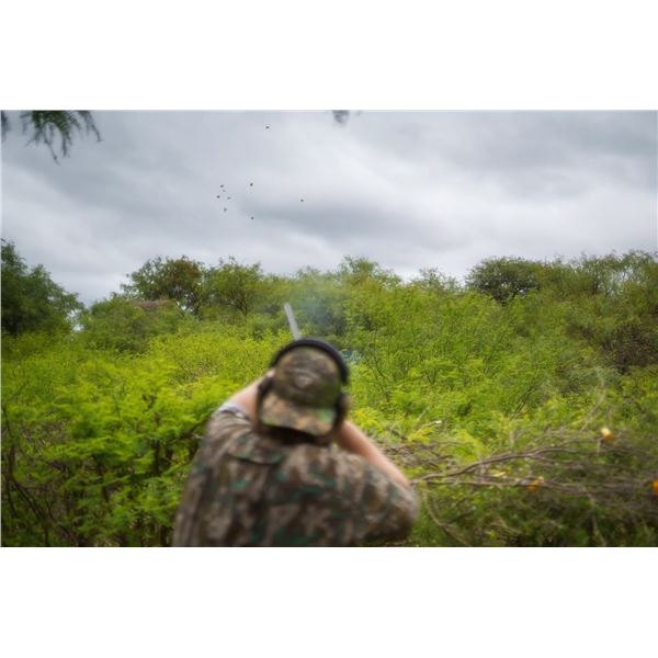 (NEW!) SIERRA BRAVA: 4-Day High-Volume Dove Hunt for Six Hunters in Santa Fe or Cordoba, Argentina