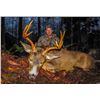 Image 3 : (NEW!) COASTAL INLET ADV: 7-Day Columbia Blacktail Deer Hunt for One Hunter in BC - Includes Trophy