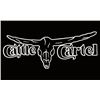 Image 1 : THE CATTLE CARTEL: Cowhide Pillow and Lampshade Accessories