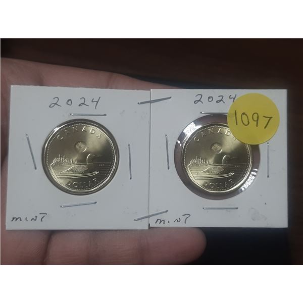2024 Loonie Mint Canadian Loonie x 2, Mint